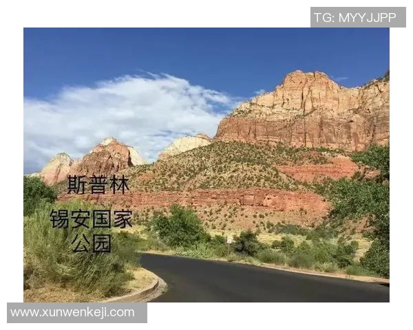 盐城湖与芝加哥比赛分析及胜负推荐策略分享